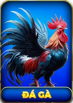 đá gà - 5679