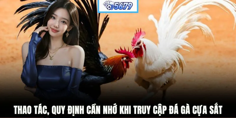 Thao tác, quy định cần nhớ khi truy cập đá gà cựa sắt